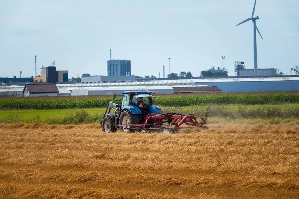 Agricoltore su trattore che taglia fieno in campo agricolo a maassluis, — Foto Stock