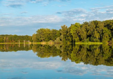 Göldeki ağaçların yansımaları