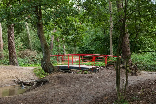 Puente rojo japonés en el jardín — Foto de Stock
