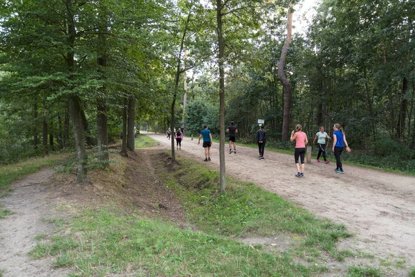 Menschen beim Workout im Wald — Stockfoto
