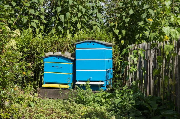 Traditionelle Bienenstöcke aus Holz für die Bienenhaltung — Stockfoto