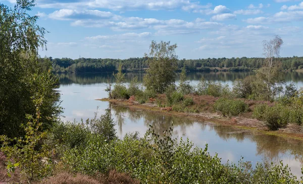 Jezero reinidersmeer v Holandsku — Stock fotografie