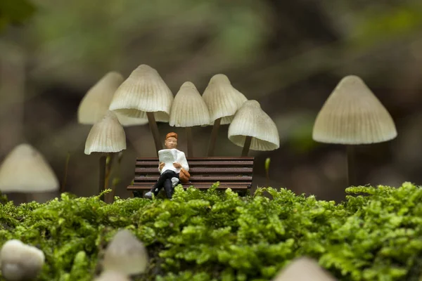 オランダの森のミケーナ・アーカンゲリアナの下で休んでいる姿です — ストック写真