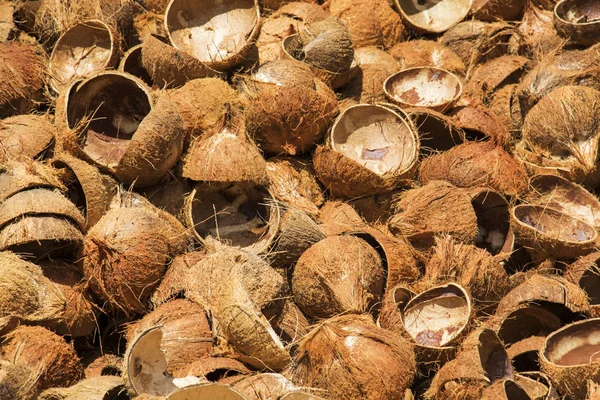 Kokosnötter Coconut Bearbetning Familj Ägs Business Mekongdeltat Ben Tre Vietnam — Stockfoto