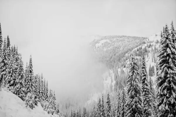 Δάση Βουνά Που Καλύπτονται Χιόνι Στην Ομίχλη Whitewater Resort Νέλσον — Φωτογραφία Αρχείου