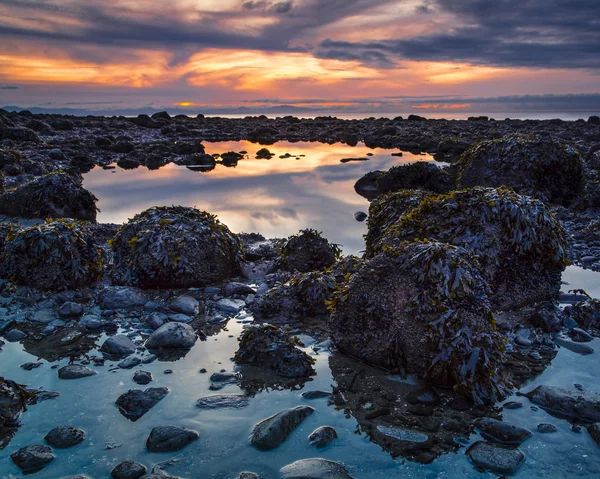 Теплые Цвета Неба Закате Отражаются Бассейнах Пляже Акадия Ванкувер Британская — стоковое фото