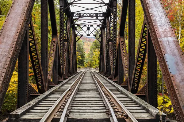 Ponte Ferroviária Ferro Sobre Rio Sawyer Com Árvores Nas Cores — Fotografia de Stock