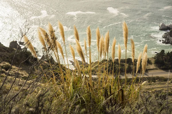 Vista Panorâmica Rodovia Cabrillo Big Sur Costa Acidentada Oceano Pacífico — Fotografia de Stock