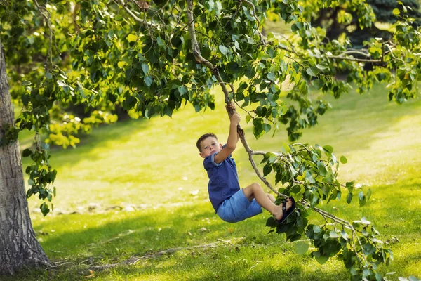 Jeune Garçon Balançant Sans Peur Une Branche Arbre Dans Parc — Photo