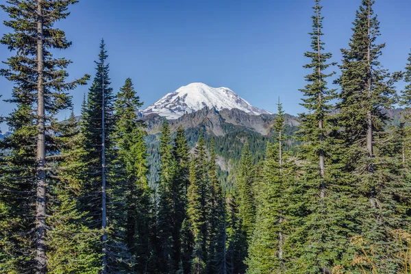 Schnee Und Gletscher Auf Dem Mount Rainier Vom Chinook Pass — Stockfoto