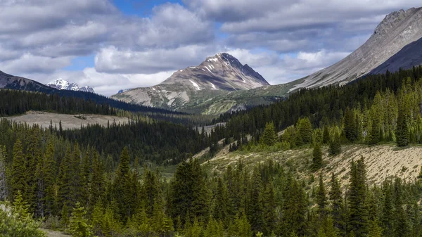 Robusto Canadian Rocky Mountains Com Uma Floresta Vale Jasper Alberta — Fotografia de Stock
