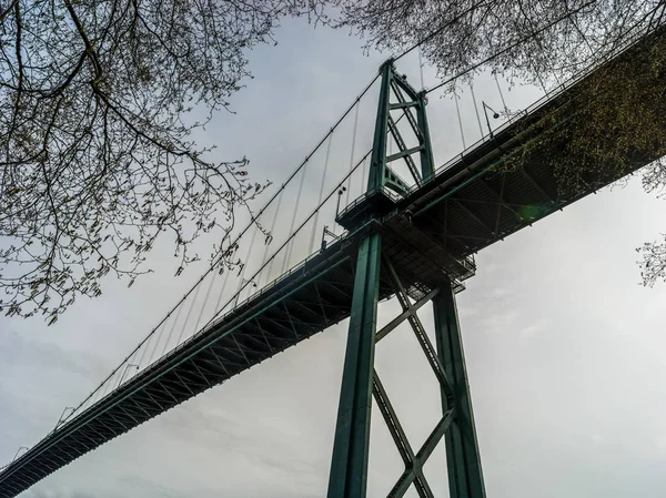 Låg Vinkel Syn Lions Gate Bridge Stanley Park Vancouver British — Stockfoto