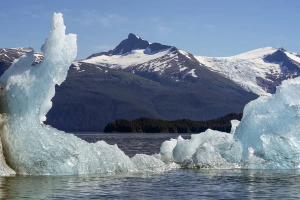 Eisberg Schwimmt Tracy Arm Tongass Nationalwald Alaska Vereinigte Staaten Von — Stockfoto