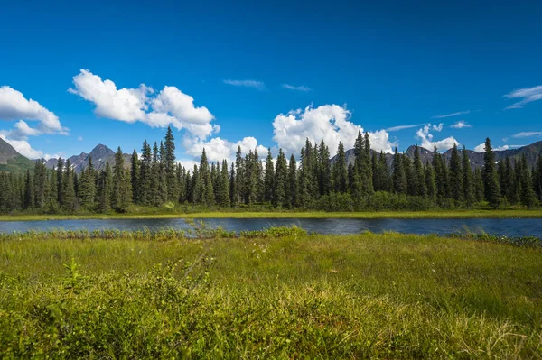Moln Rullar Över Bergstoppar Talkeetna Range Syd Centrala Alaska Solig — Stockfoto
