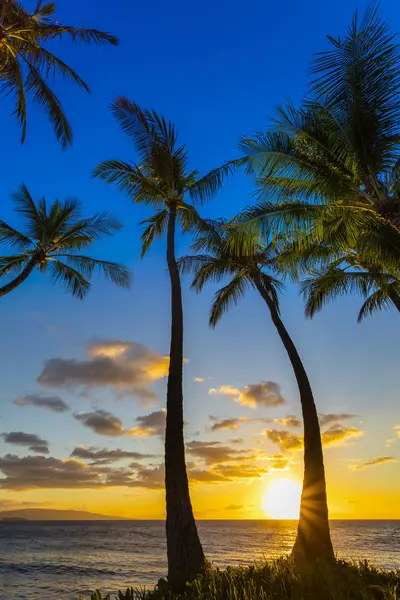 Siluetli Palmiye Ağaçlarının Arasından Batan Güneş Wailea Maui Hawaii Amerika — Stok fotoğraf