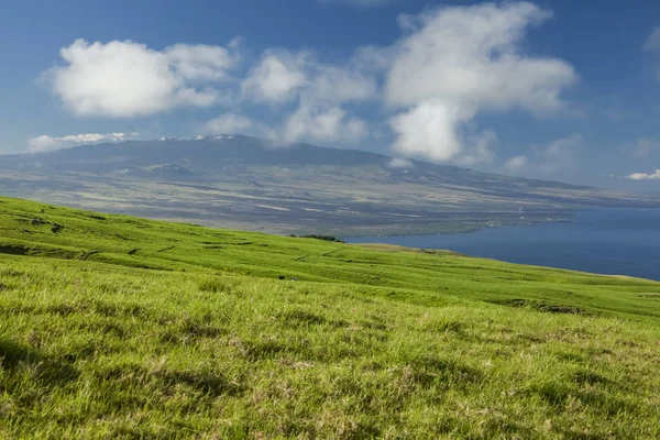Pasture Land Parker Ranch Kohala Mountain Hualalai Distance Island Hawaii — Stock Photo, Image