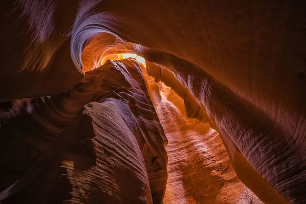 Scenic View Majestic Slot Canyon Known Rattlesnake Canyon Page Arizona — Stock Photo, Image