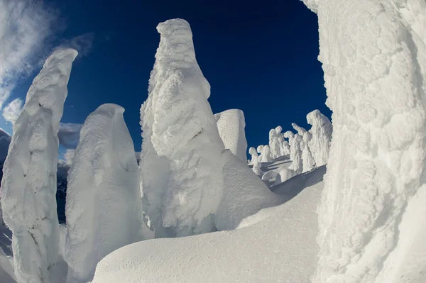 Vrcholky Sněhových Formací Proti Modré Obloze Britská Kolumbie Kanada — Stock fotografie
