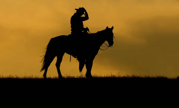 Silhuett Cowboy Häst Mot Himmel Gyllene Moln Vid Solnedgången Montana — Stockfoto