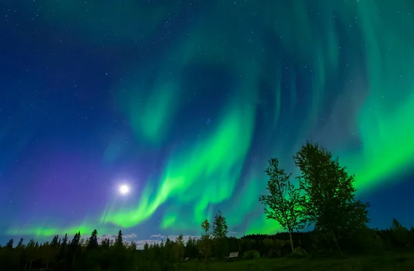 Aurore Verte Brillante Tourbillonnant Dessus Rive Lac Birch Dans Intérieur — Photo