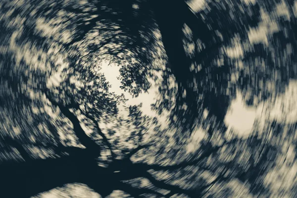 回転でぼやけている木の抽象的な背景 — ストック写真