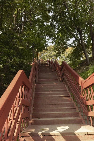 Escalier Bois Dans Parc Été — Photo