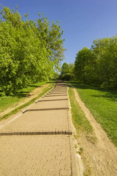 Sentier Dans Parc Menant Colline Été Jour — Photo