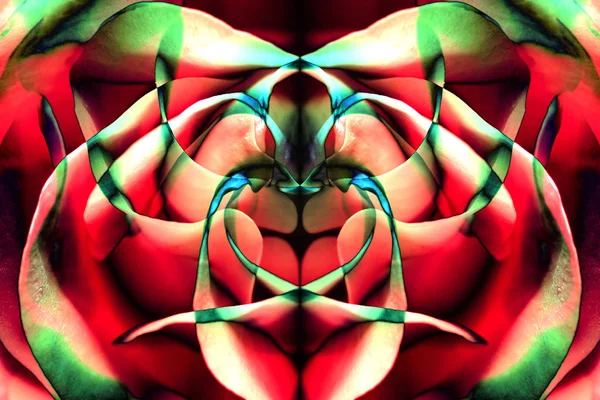 arka plan makro resmi bir renk desen gül yaprakları ve yansımalar.