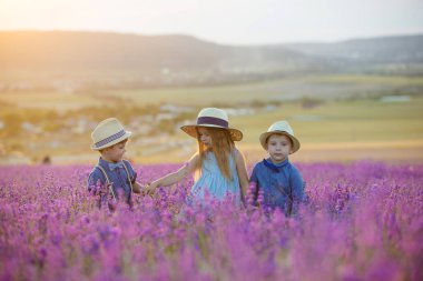 Lavanta tarlasında yürüyen iki erkek kardeş.