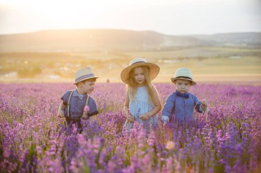 Lavanta tarlasında yürüyen iki erkek kardeş.