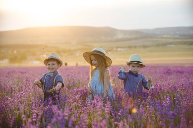 Lavanta tarlasında yürüyen iki erkek kardeş.