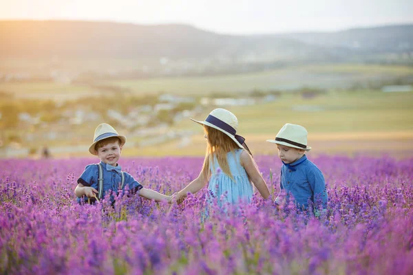 Irmã Com Dois Irmãos Caminhando Campo Lavanda — Fotografia de Stock