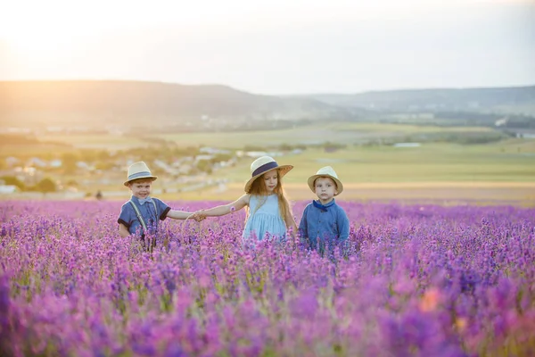 Sister Two Brothers Walking Lavender Field — Stock Photo, Image