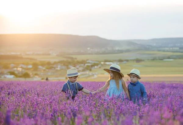 Irmã Com Dois Irmãos Caminhando Campo Lavanda — Fotografia de Stock