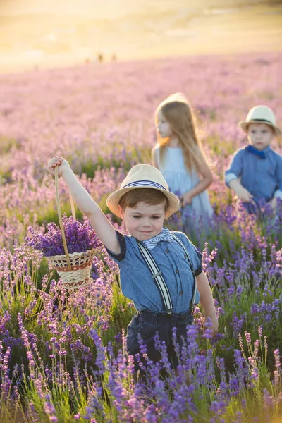 ラベンダーの花のバスケットを示す小さな男の子 — ストック写真