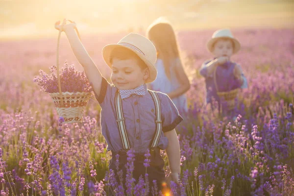 Malý Chlapec Ukazující Košík Levandulovými Květinami — Stock fotografie