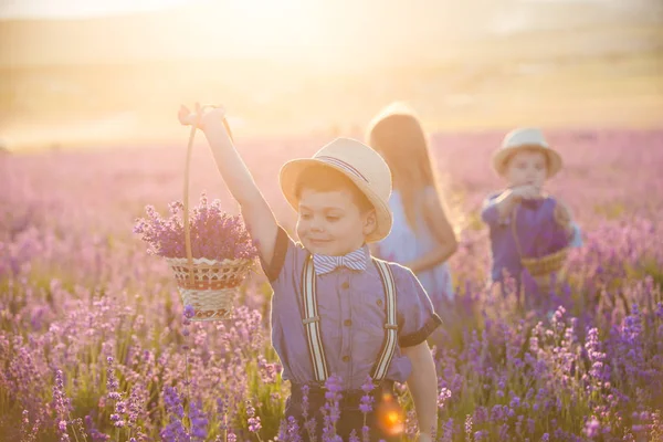 Malý Chlapec Ukazující Košík Levandulovými Květinami — Stock fotografie