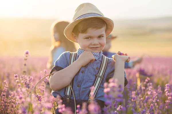 ラベンダーの花のバスケットを示す小さな男の子 — ストック写真