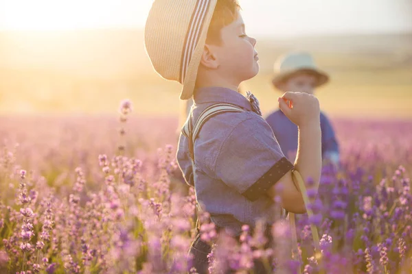 ラベンダーの花のバスケットを示す小さな男の子 — ストック写真