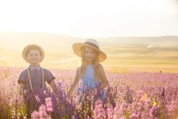 ラベンダー畑を歩く兄と妹 — ストック写真