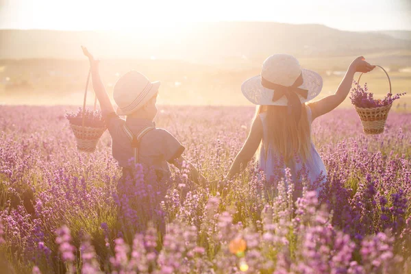 Sister Brother Walking Lavender Field — 스톡 사진