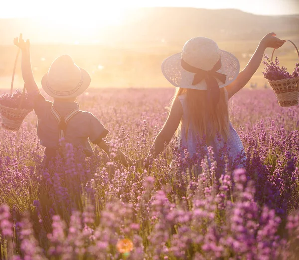 Sister Brother Walking Lavender Field — 스톡 사진