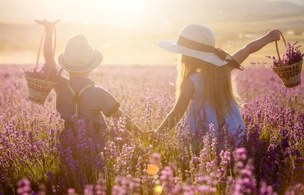 Sister Brother Walking Lavender Field — 스톡 사진