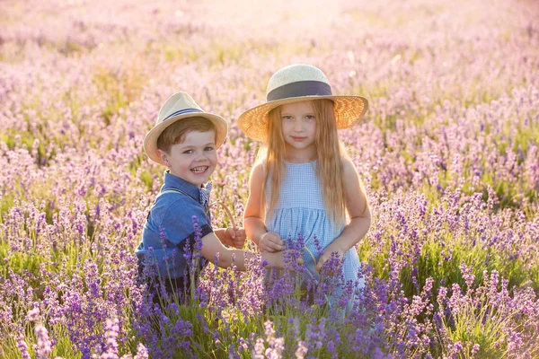 Syster Med Bror Går Lavendel Fält — Stockfoto