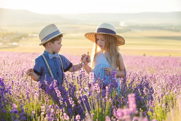 Sister Brother Walking Lavender Field — Stock Photo, Image