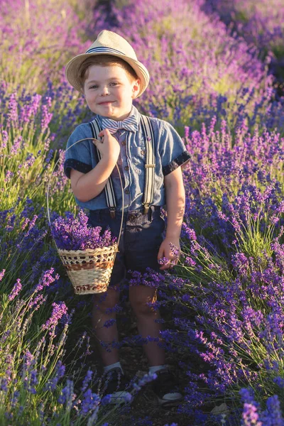 Niño Mostrando Cesta Con Flores Lavanda —  Fotos de Stock