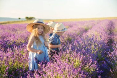 Lavanta tarlasında yürüyen iki erkek kardeş.