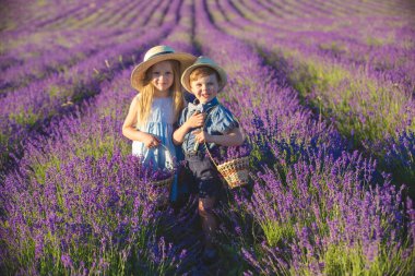 Kardeşimle lavanta tarlasında yürüyoruz.