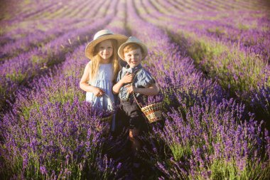 Kardeşimle lavanta tarlasında yürüyoruz.