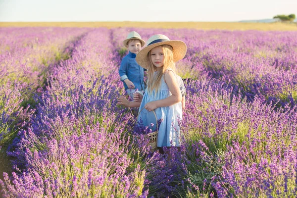 Zuster Met Twee Broers Lopend Lavendelveld — Stockfoto